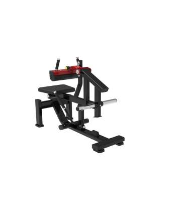 Seated Calf Raise