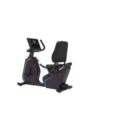 Commercial Recumbent Bike (Keyboard)